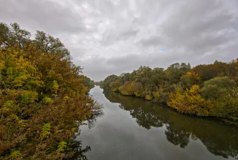 Пансионат для пожилых людей «Котляково»: фото №4